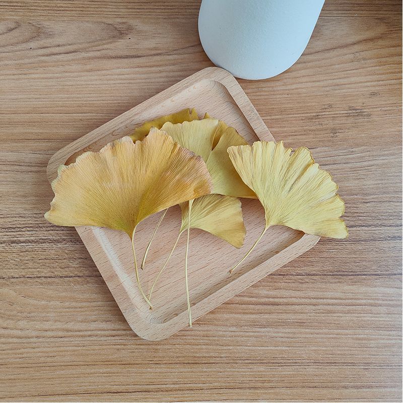 Hojas Secas de Ginkgo Biloba N - Soap Making Home reseña y precio